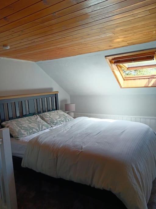 Dingle Escape -2 Bed -Sleeps 4 Apartment Exterior photo