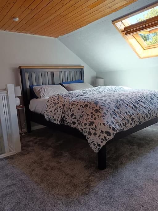 Dingle Escape -2 Bed -Sleeps 4 Apartment Exterior photo